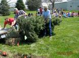 Adults Unloading Tree